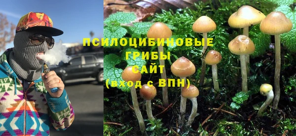 ГАЛЛЮЦИНОГЕННЫЕ ГРИБЫ Михайловск