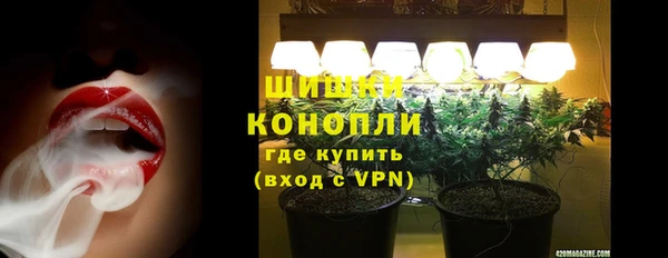 ГАЛЛЮЦИНОГЕННЫЕ ГРИБЫ Михайловск