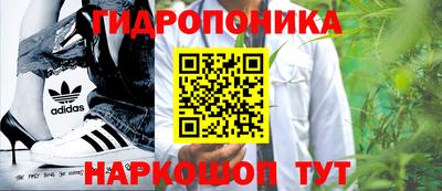 спиды Берёзовский