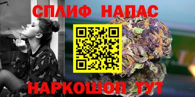 прущие грибы Гай