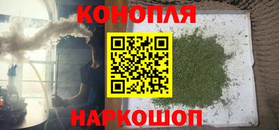 бошки Гагарин