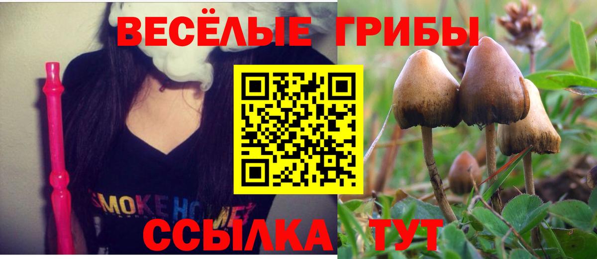 Галлюциногенные грибы MAGIC MUSHROOMS Тольятти