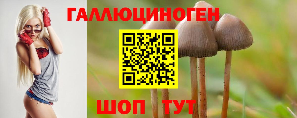 Галлюциногенные грибы Psilocybe  Вход с VPN  Тольятти 